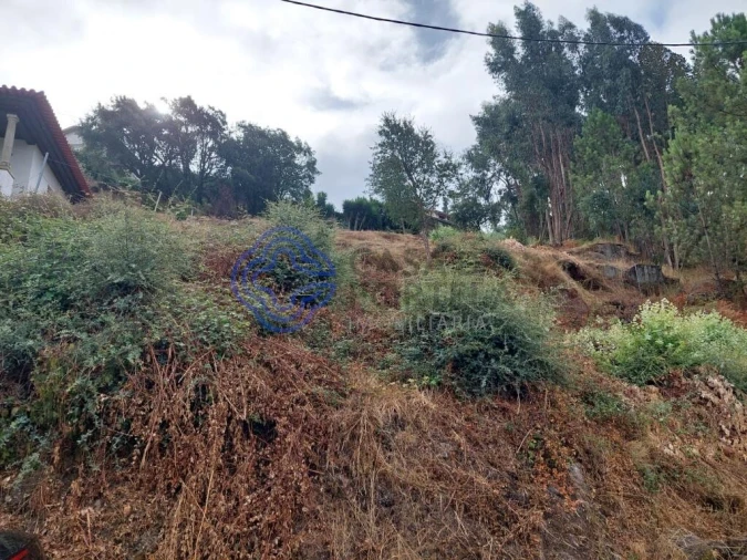 Terreno para Venda em Rebordões Foto 3