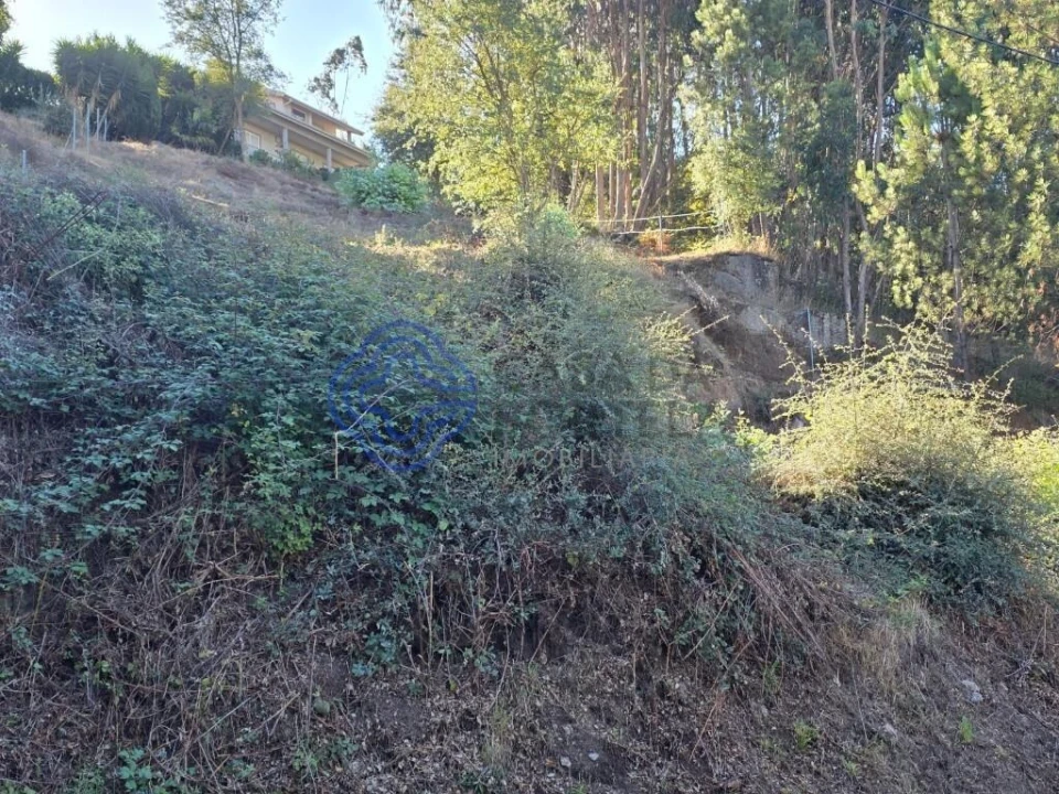 Terreno para Venda em Rebordões Foto 8