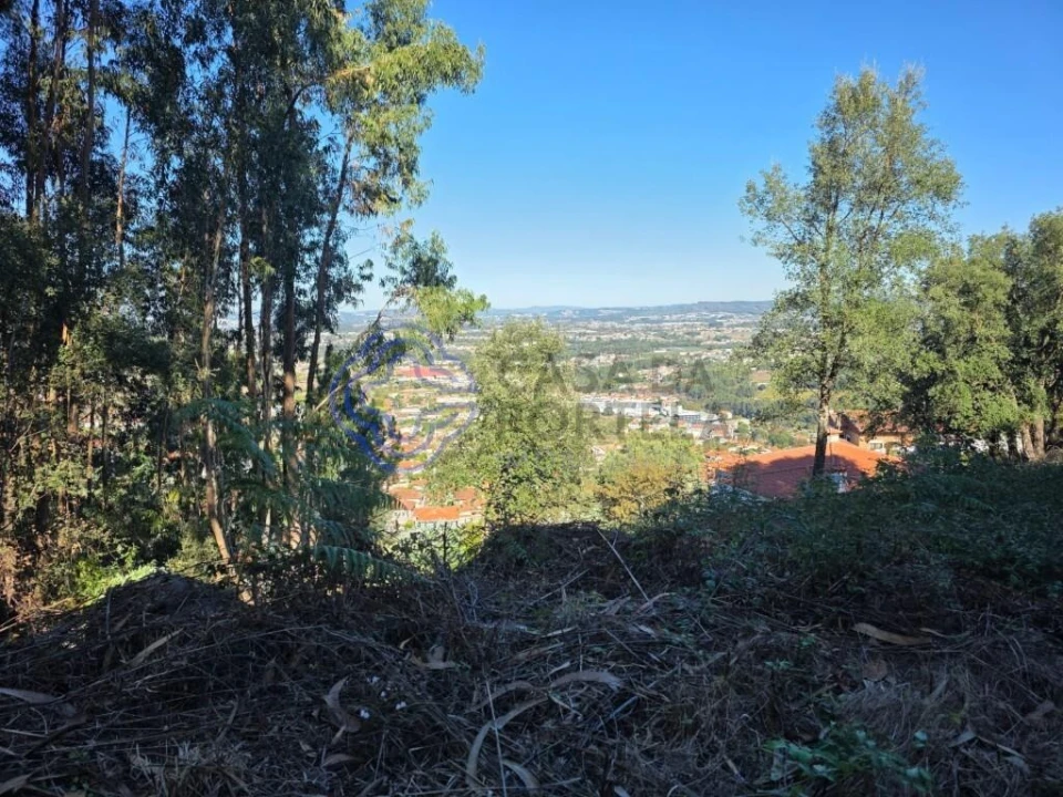 Terreno para Venda em Rebordões Foto 15