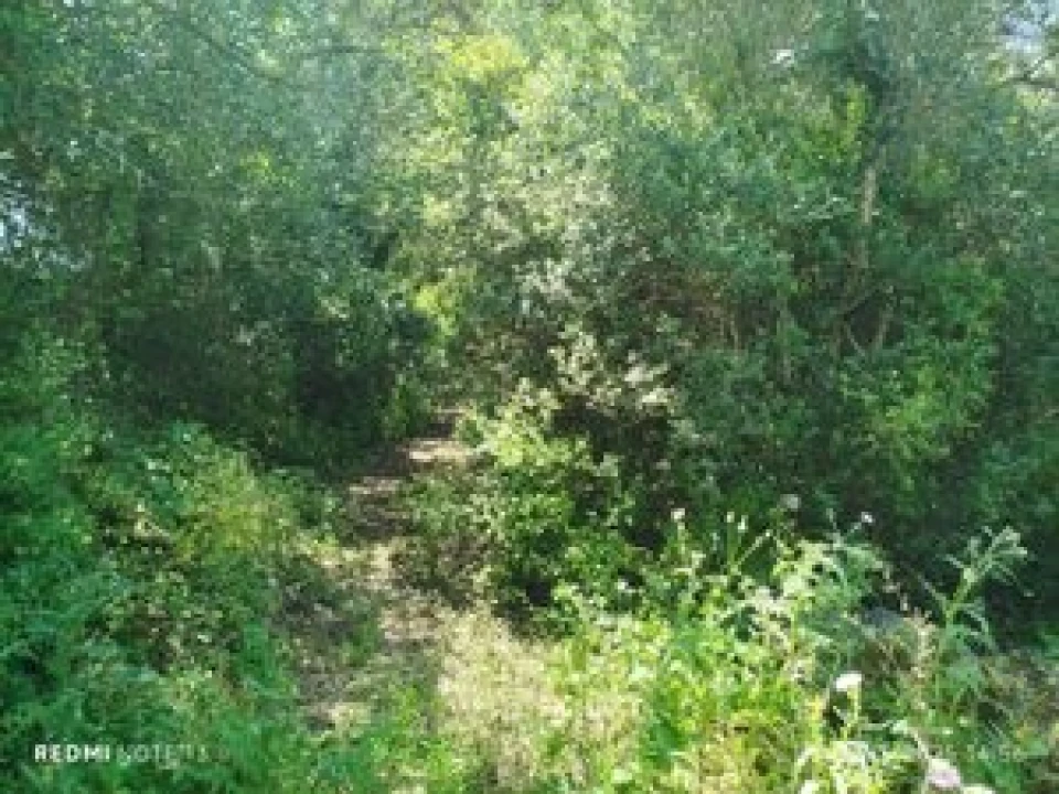 Terreno para Venda em Algueirão-Mem Martins Foto 1