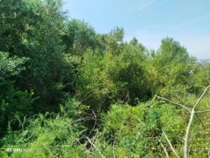 Terreno para Venda em Algueirão-Mem Martins Foto 3