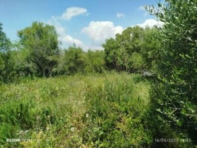 Terreno para Venda em Algueirão-Mem Martins Foto 4