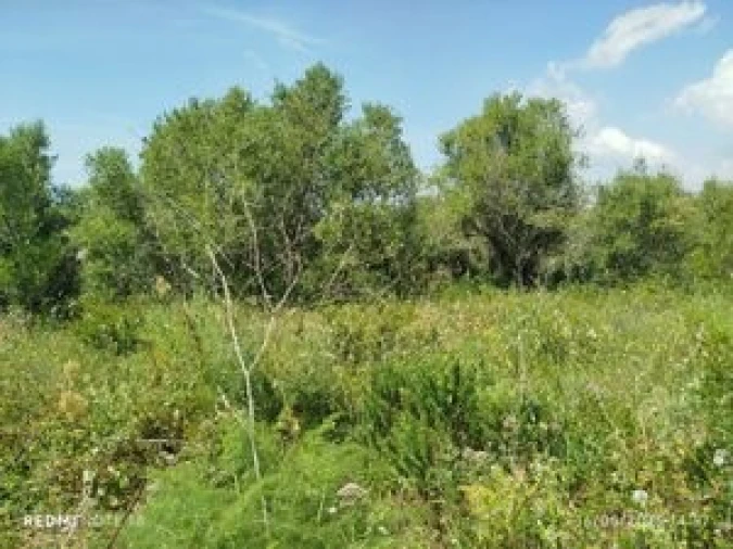 Terreno para Venda em Algueirão-Mem Martins Foto 5