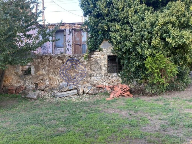 Moradia T1 para Venda em Escapães Foto 3