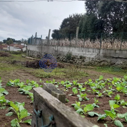 Terreno para Venda em Avintes Foto 9
