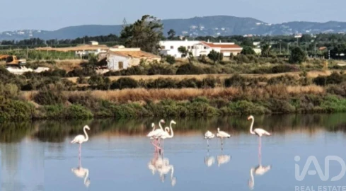 Moradia para Venda em Olhão