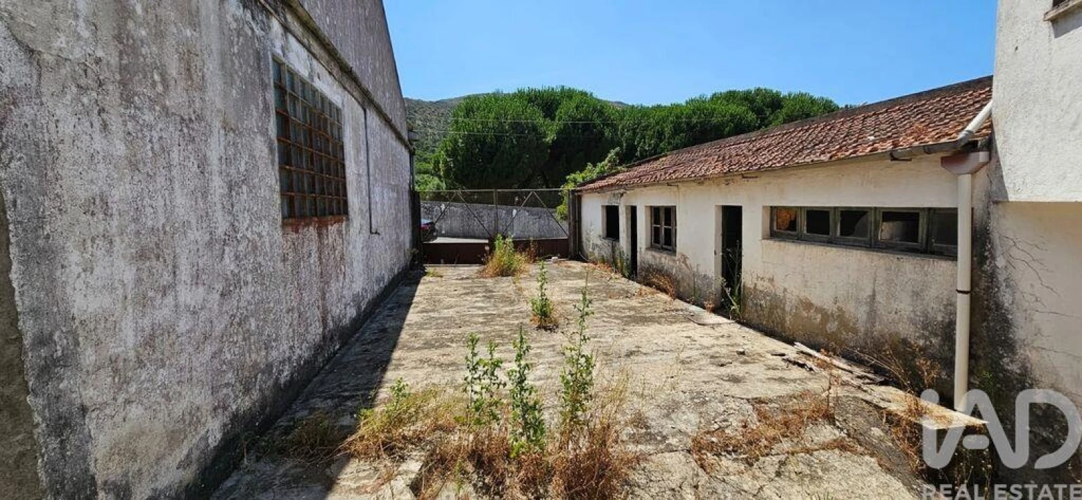 Loja para Arrendamento em Minde Foto 5