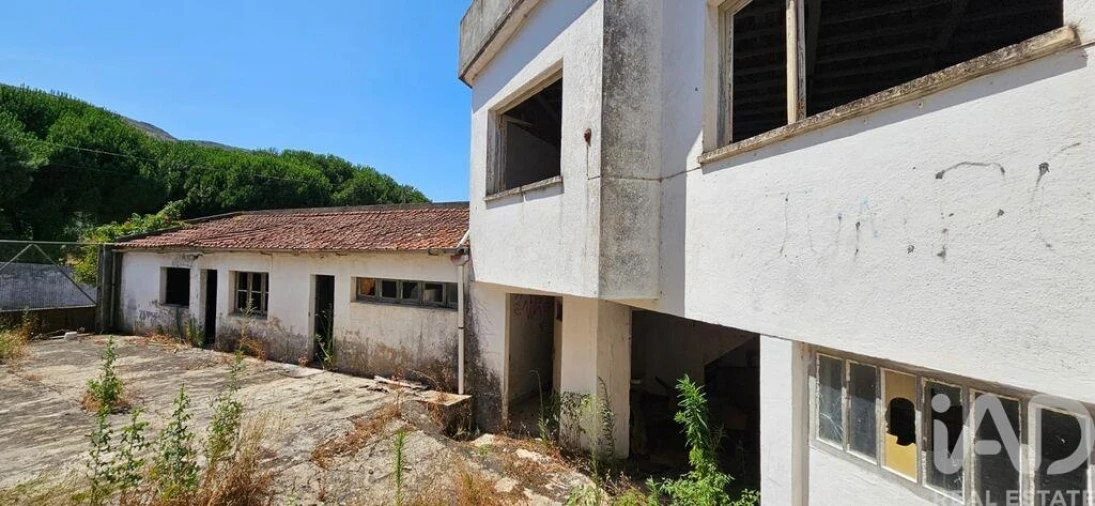 Loja para Arrendamento em Minde