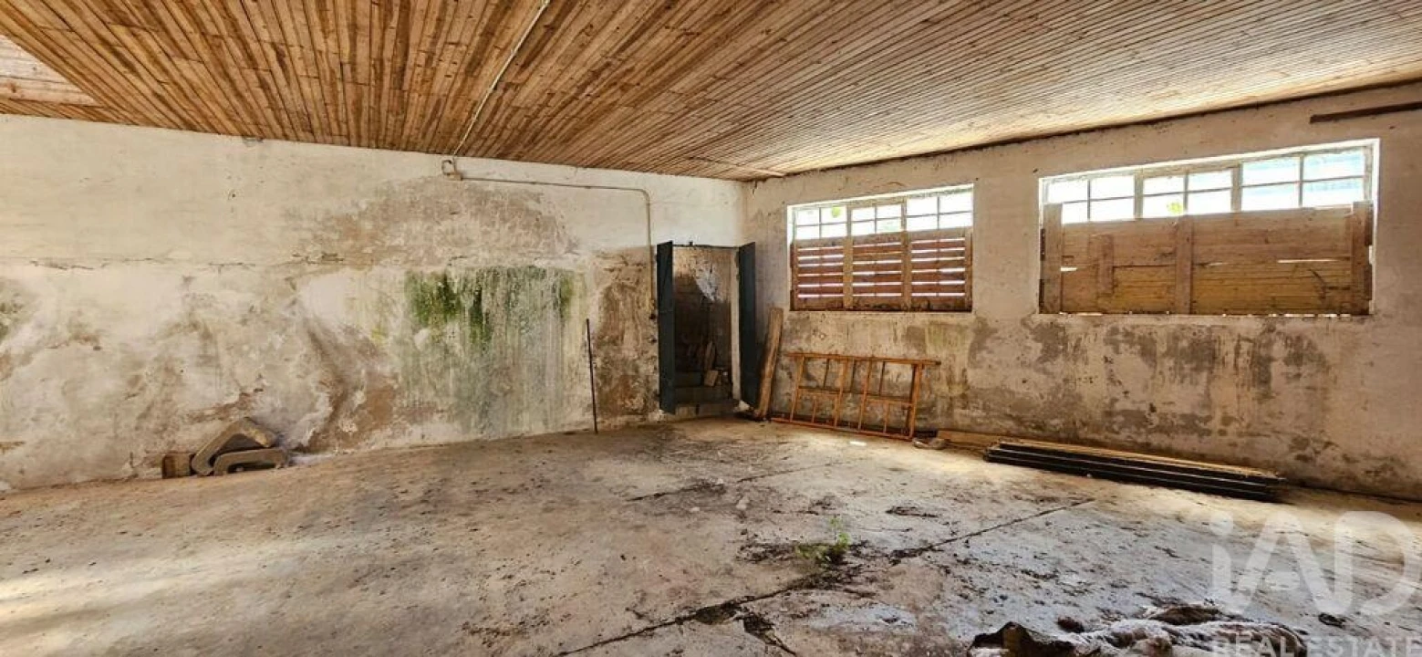 Loja para Arrendamento em Minde Foto 12