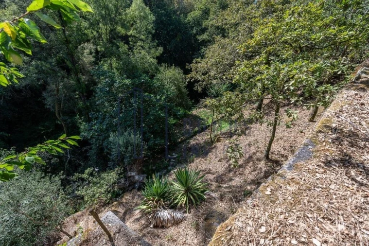 Quinta T2 para Venda em Eja Foto 30