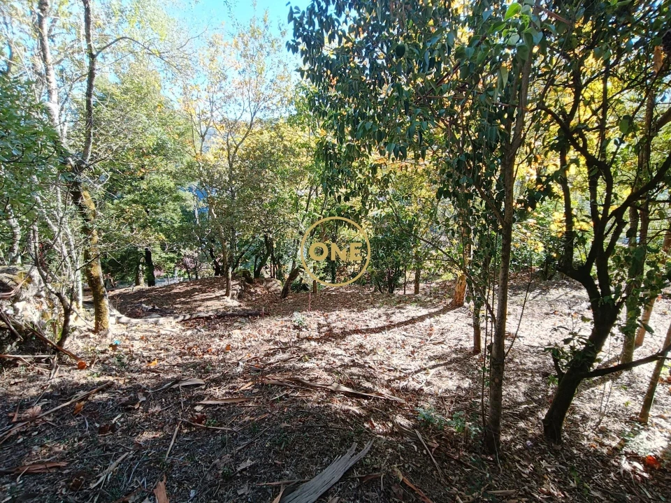Terreno para Venda em Valdosende Foto 5