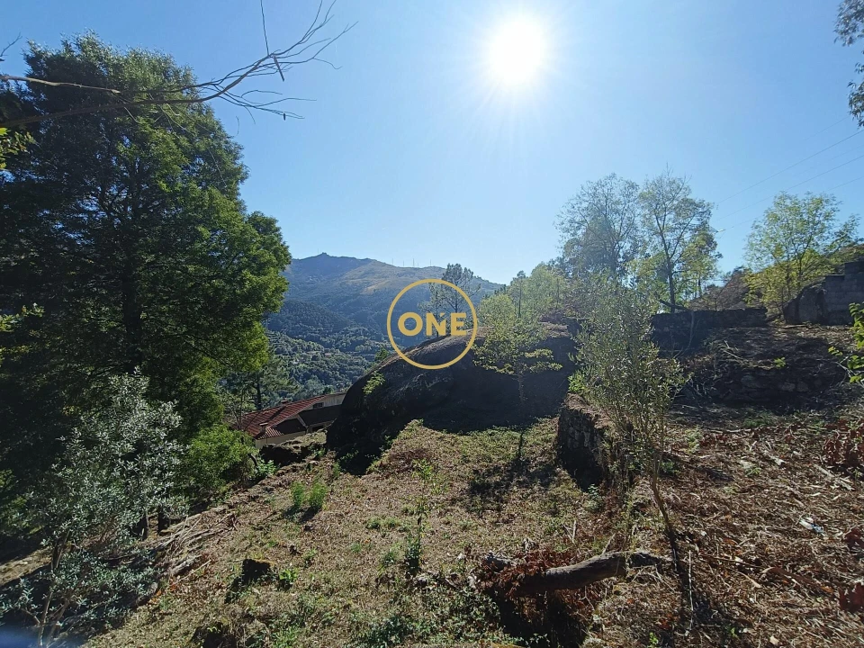 Terreno para Venda em Valdosende Foto 12