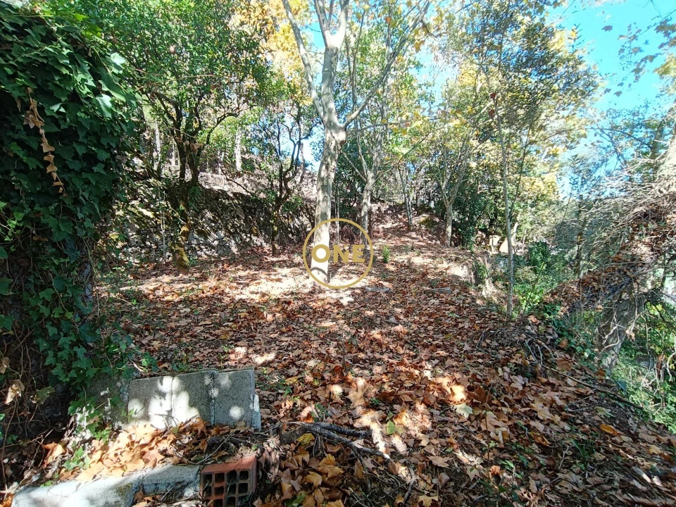 Terreno para Venda em Valdosende Foto 3