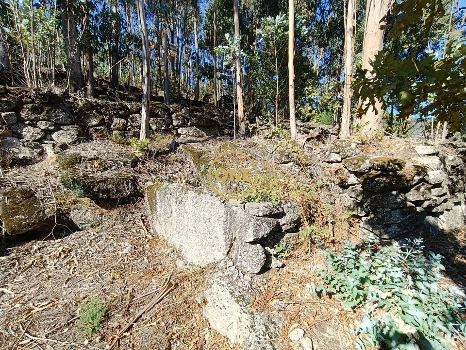 Terreno para Venda em Valdosende Foto 13