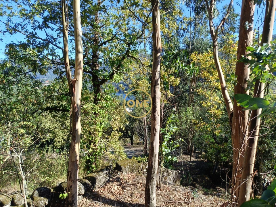 Terreno para Venda em Valdosende Foto 20