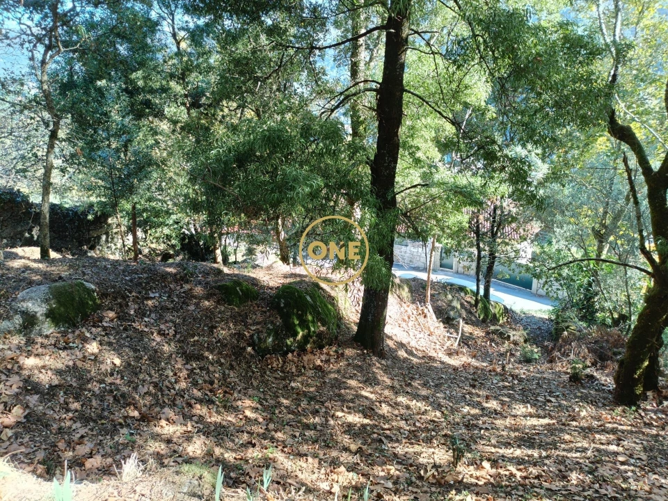 Terreno para Venda em Valdosende Foto 17