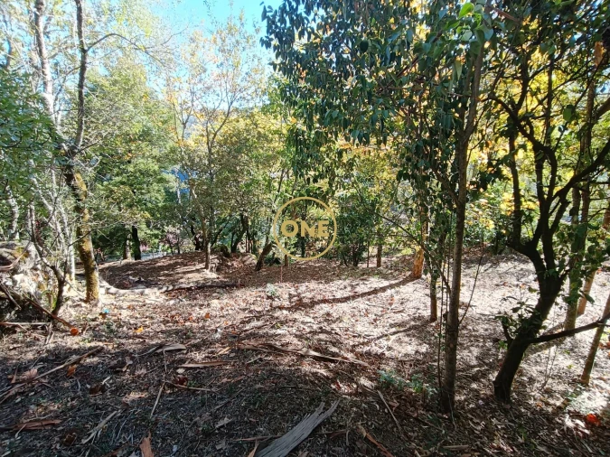 Terreno para Venda em Valdosende Foto 5