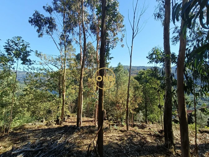 Terreno para Venda em Valdosende Foto 23