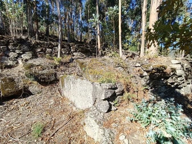 Terreno para Venda em Valdosende Foto 13