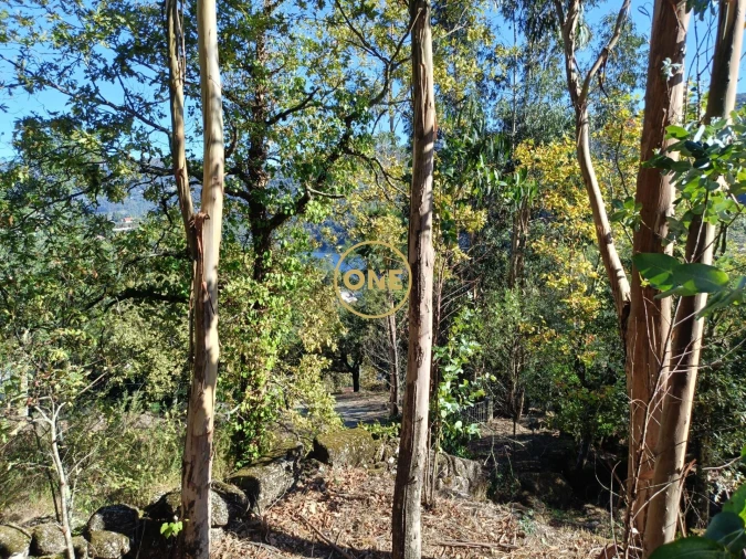 Terreno para Venda em Valdosende Foto 20