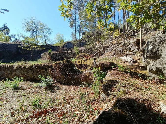 Terreno para Venda em Valdosende Foto 9