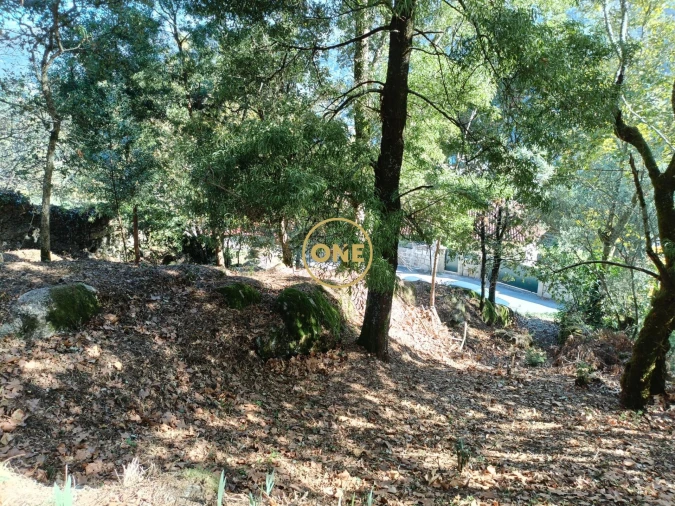 Terreno para Venda em Valdosende Foto 17