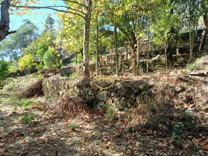 Terreno para Venda em Valdosende Foto 4
