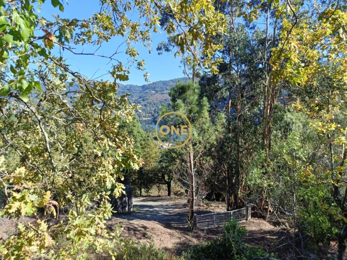 Terreno para Venda em Valdosende Foto 22