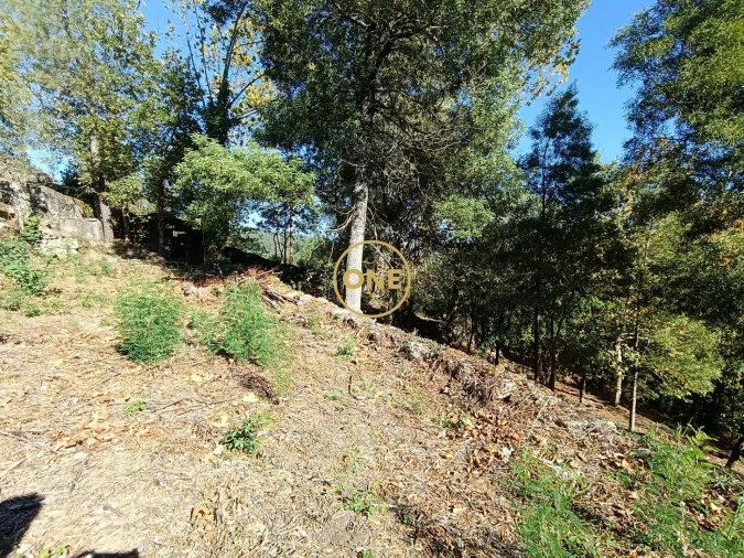 Terreno para Venda em Valdosende Foto 10