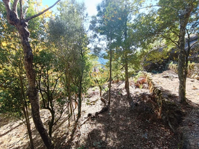 Terreno para Venda em Valdosende Foto 6