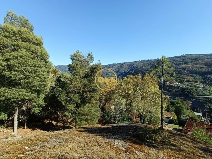 Terreno para Venda em Valdosende Foto 15