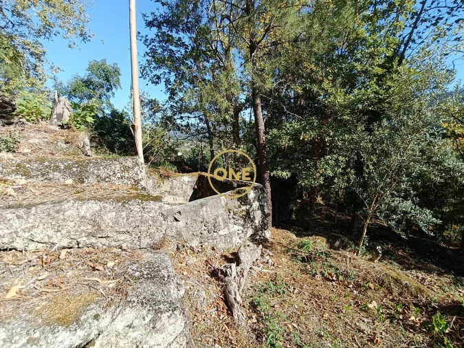 Terreno para Venda em Valdosende Foto 11