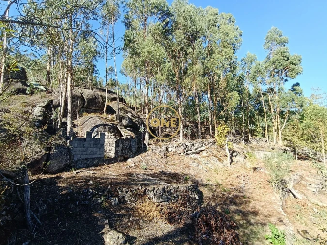 Terreno para Venda em Valdosende Foto 16