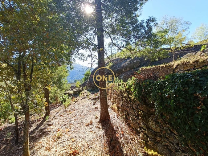 Terreno para Venda em Valdosende Foto 8
