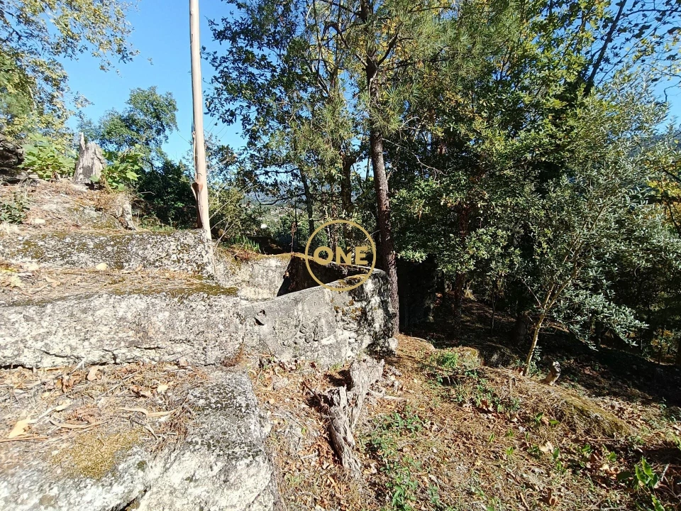 Terreno para Venda em Valdosende Foto 11