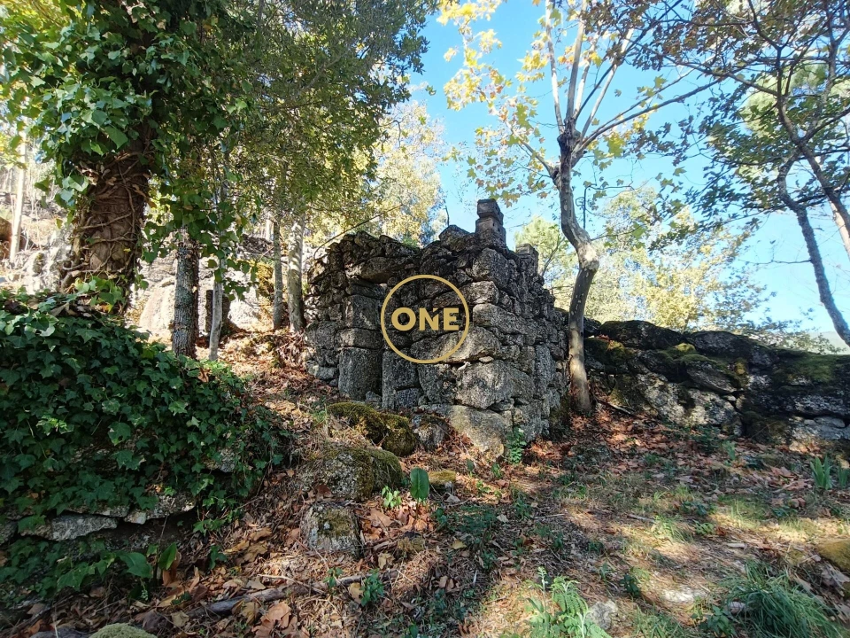 Terreno para Venda em Valdosende Foto 7