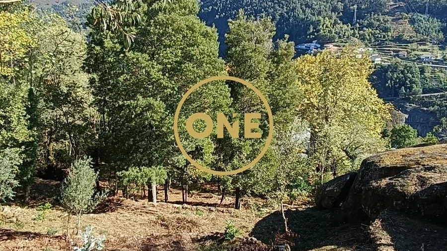 Terreno para Venda em Valdosende