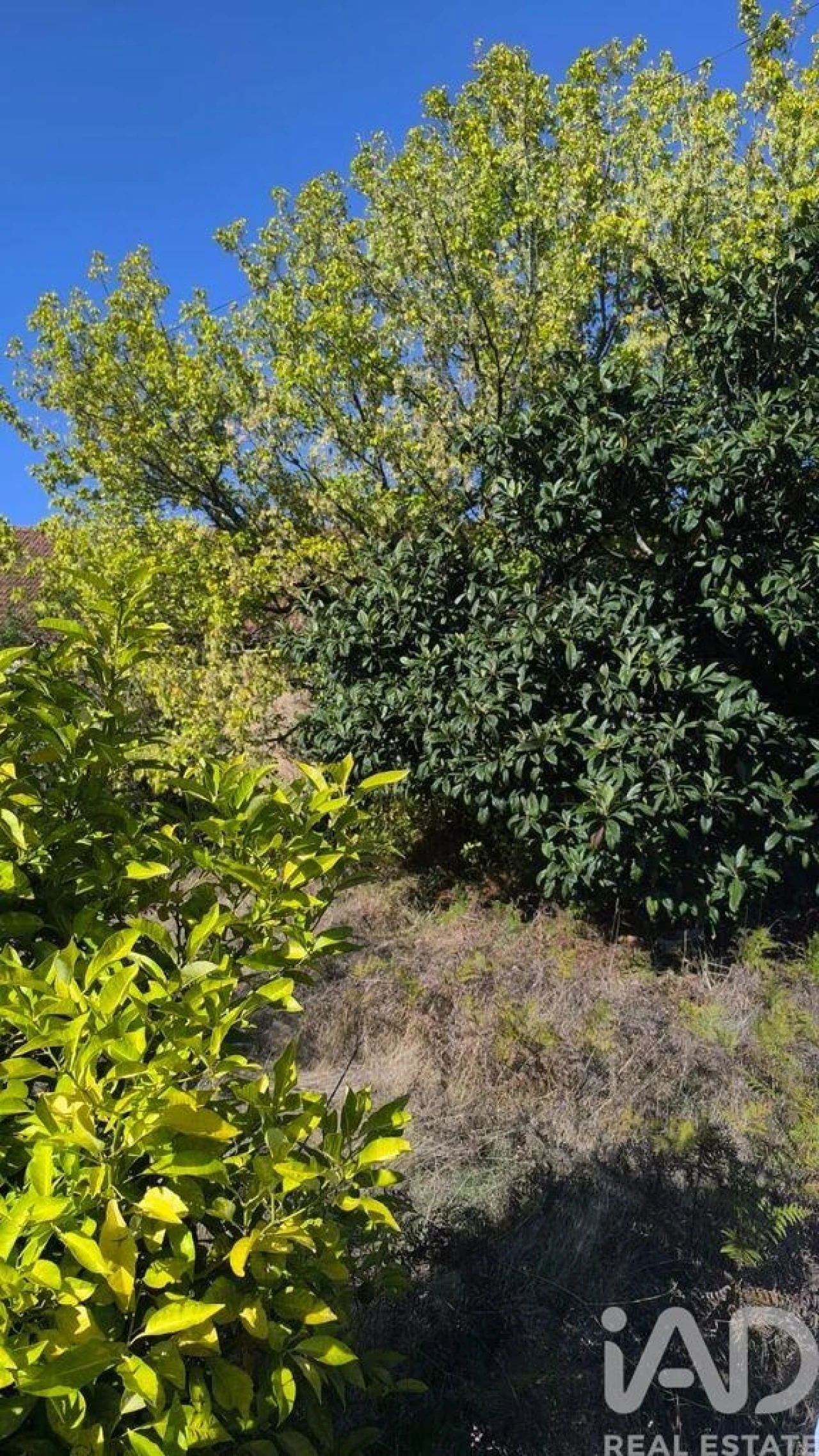 Moradia T3 para Venda em Ovar, São João, Arada e São Vicente de Pereira Jusã Foto 30