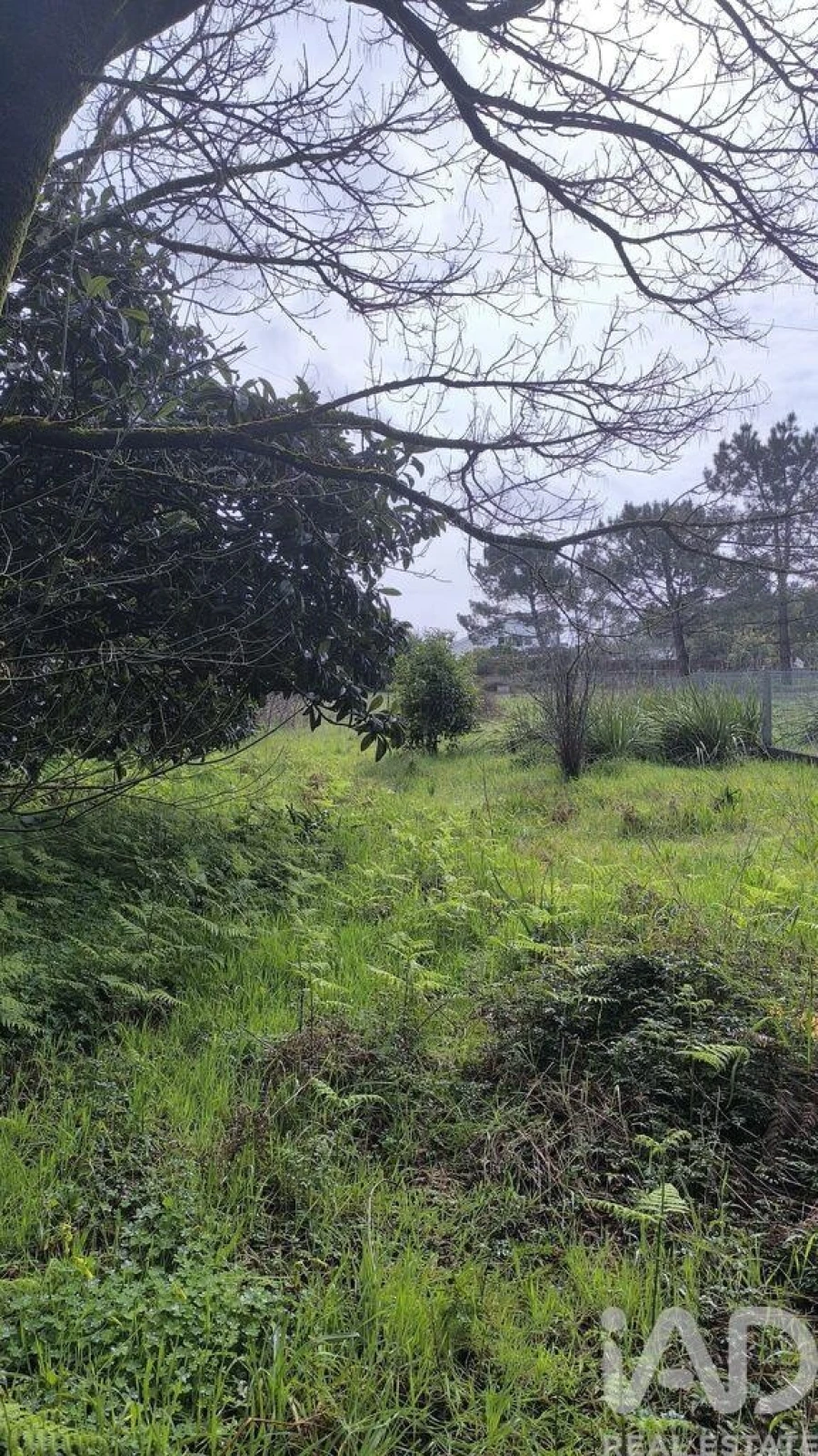 Moradia T3 para Venda em Ovar, São João, Arada e São Vicente de Pereira Jusã Foto 16