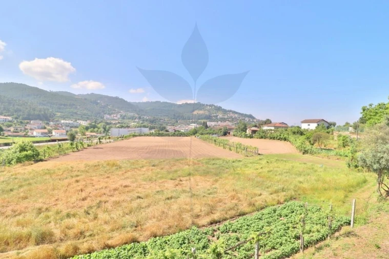 Moradia T3 para Venda em Este (São Pedro e São Mamede) Foto 21