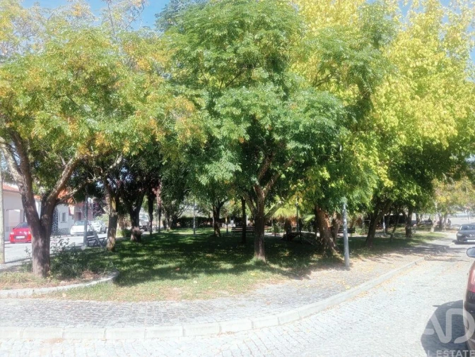 Moradia T2 para Venda em Benavila e Valongo Foto 24