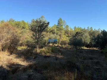 Terreno para Venda em Benquerenças