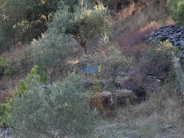 Terreno para Venda em Benquerenças