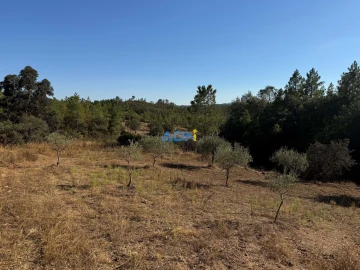 Terreno para Venda em Benquerenças
