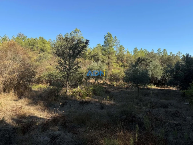 Terreno para Venda em Benquerenças Foto 5