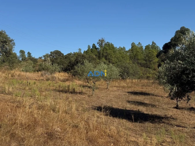 Terreno para Venda em Benquerenças Foto 9