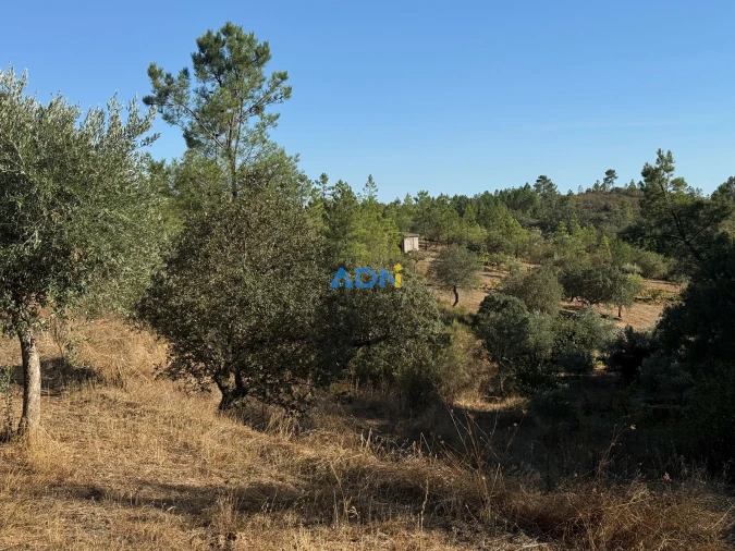 Terreno para Venda em Benquerenças Foto 8