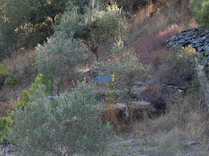 Terreno para Venda em Benquerenças Foto 7