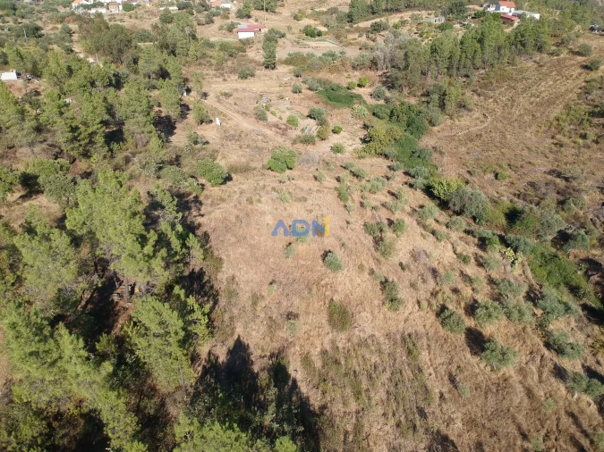 Terreno para Venda em Benquerenças Foto 2