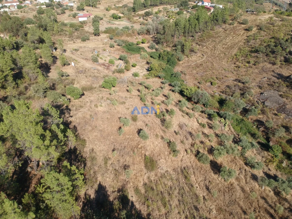 Terreno para Venda em Benquerenças Foto 1